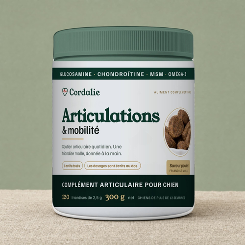 Le pot Cordalie tel qu'il est livré : étiquette française, 120 friandises en forme de cœur, saveur poulet, 300 g net.